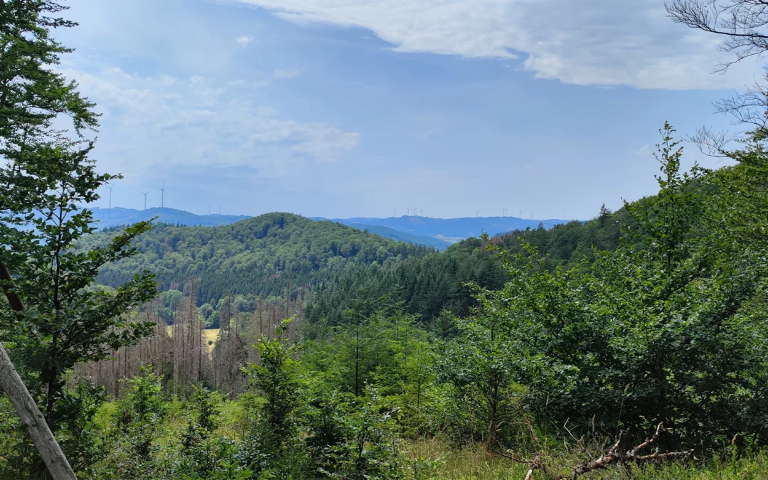 Naturismus, mein Weg ins nackte Leben